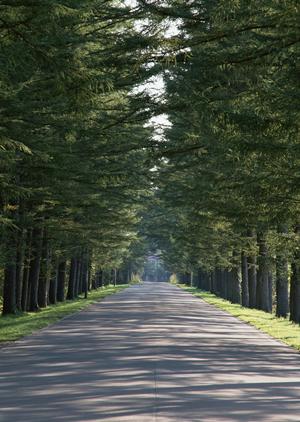 信頼できるクリニック選びのポイントと自然な仕上がりを実現！新宿の植毛施術を徹底解説